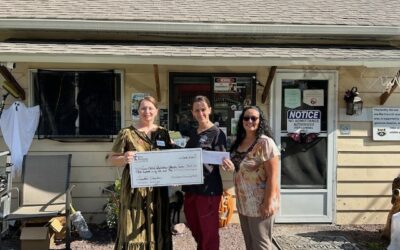 Stroudfest Plinko Donation